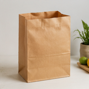 Grocery Kraft Paper Bags
